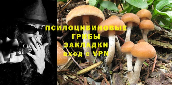 apvp Белокуриха