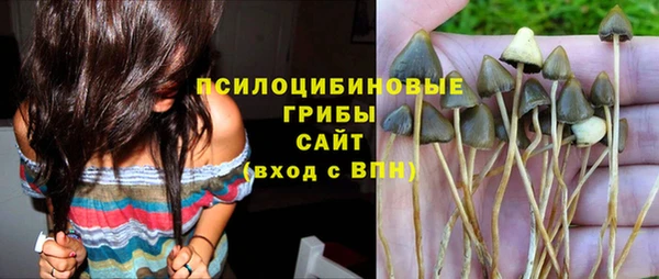 гидра Белоозёрский