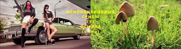 кокс Беломорск